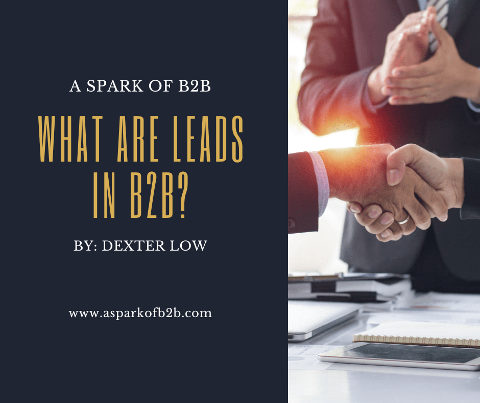 What Are Leads in&nbsp;B2B?